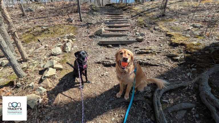 Group Walk 60 Minutes33