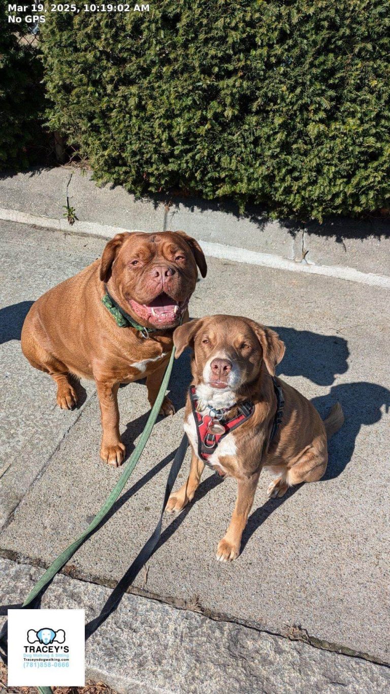 Solo Walk 30 Minutes