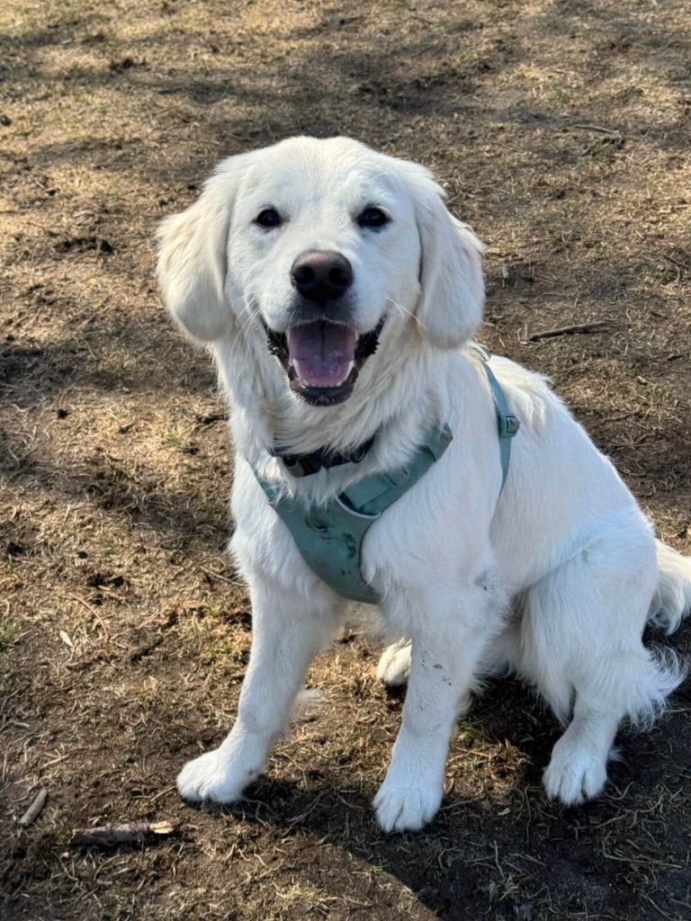 Solo Walk 30 Minutes