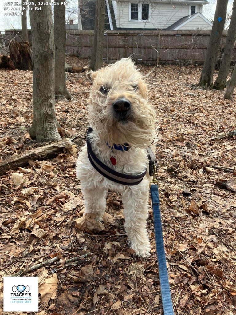 Solo Walk 30 Minutes