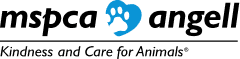 imgi 2 logo sticky